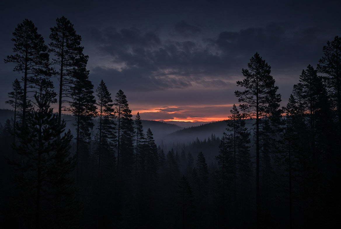 The Canadian boreal at dusk