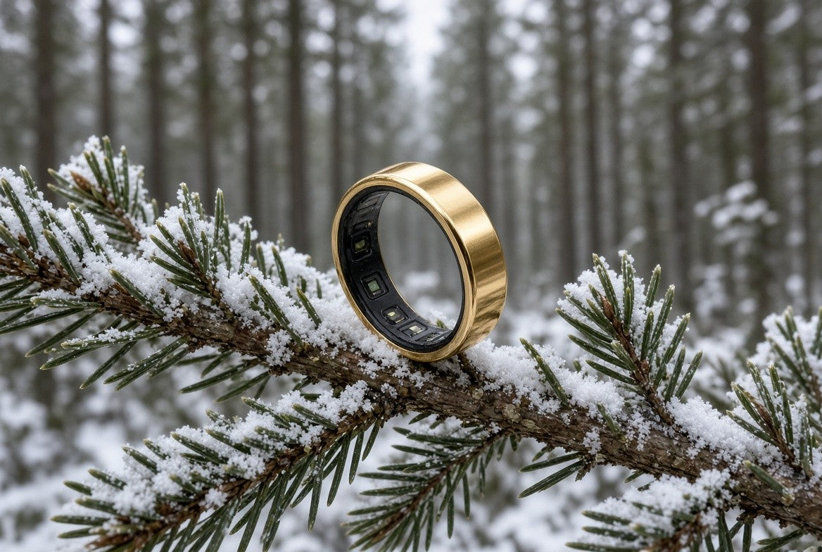 The gold Boreal Ring resting on a snow-dusted pine branch